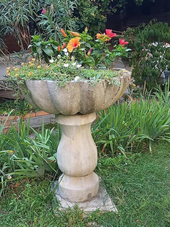 Apartment Appartamento Garden Ca' Rezzonico Venice Italy