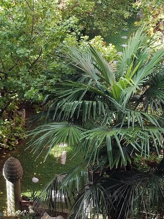 Apartment Appartamento Garden Ca' Rezzonico Venice Italy